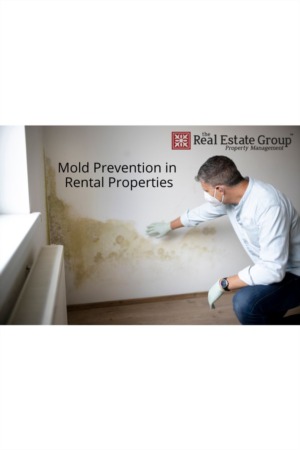 Mold Prevention in Rental Properties Photo