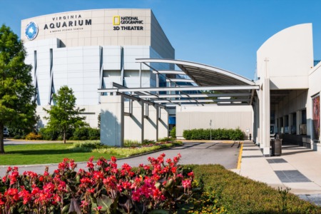 Summer Activities in Hampton Roads