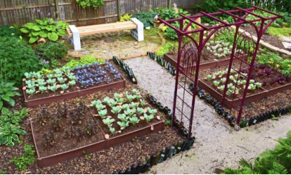 7 Steps To Kickstart Your Own Garden