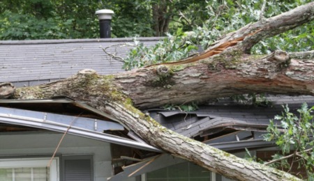 Force of Nature: The Most Likely Causes Behind Your Home’s Roof Damage
