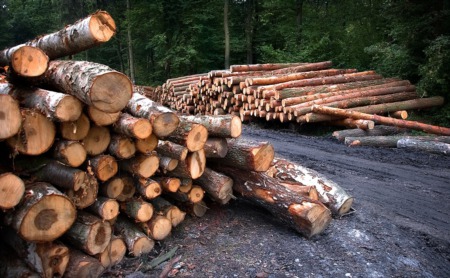 Builders Voice Concern as Lumber Prices Rise Again