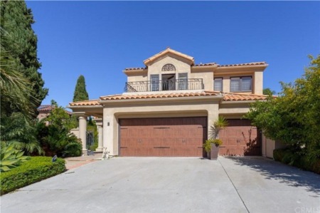 Dana Point Weekly Update (2/5/19)