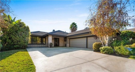 Dana Point Weekly Update (1/21/19)
