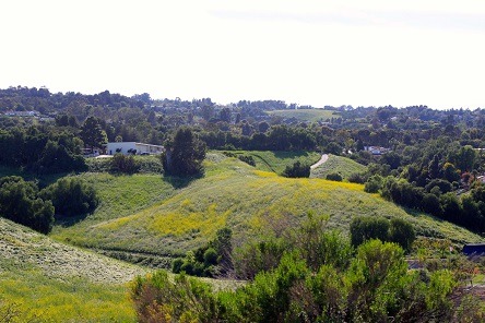 Chandler Preserve: Scenic Hike in Rolling Hills Estates  