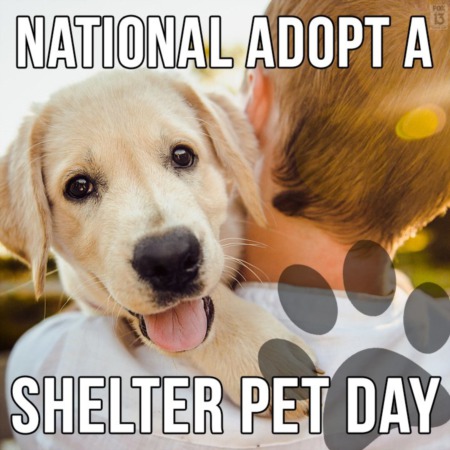 NATIONAL ADOPT A SHELTER PET DAY