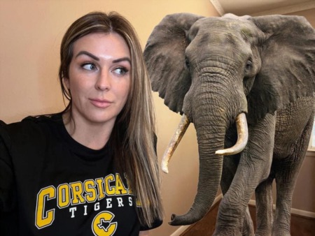 Let’s talk about that Elephant in the room