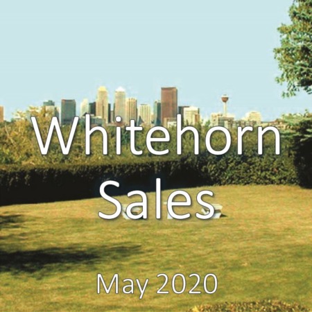 Whitehorn Housing Market Update May 2020