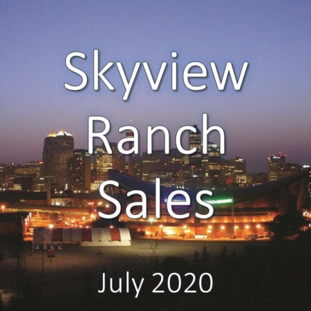 Skyview Ranch Housing Market Update July 2020