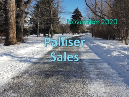 Palliser Housing Market Update November 2020
