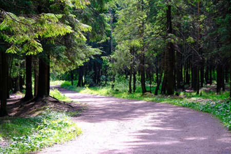 SOUTHEASTERN IDAHO OUTDOOR ACTIVITIES