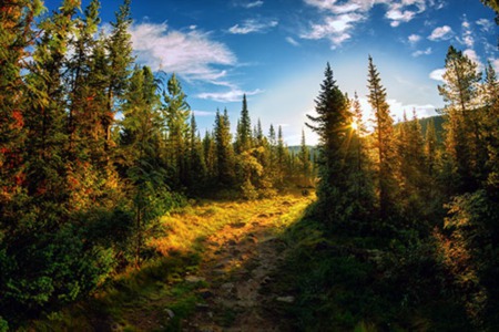 Ashton - Island Park Campgrounds
