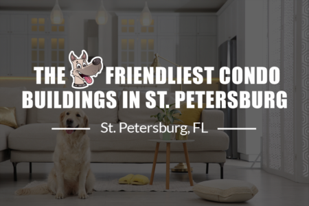 St Petersburg’s Dog-Friendliest Condo Buildings & Complexes 