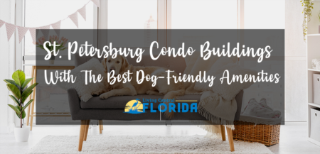 St. Petersburg Condo Buildings With Dog-Friendly Amenities