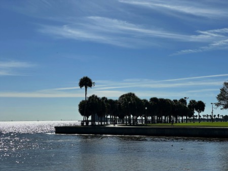 North Straub Park & South Straub Park : St. Petersburg’s Best Parks