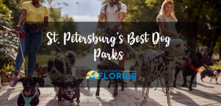 Best Dog Parks in St. Petersburg, FL