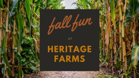 Fall Fun At Heritage Farms