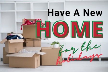 A New Home For The Holidays? 