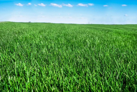 It's not too late to aerate your lawn