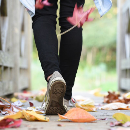 These are the most walkable neighborhoods in Charlotte