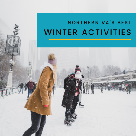 Norther Virginia 2020 Winter Activities