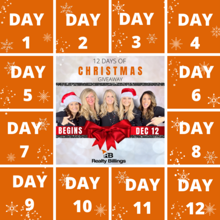 12 Days of Christmas Giveaway!