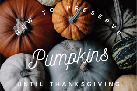 Preserve Whole & Carved Pumpkins!