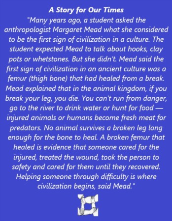 Healed Femur