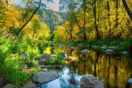 Embrace the Beauty of Autumn: The Best Places to Experience Fall in Arizona