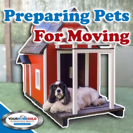Pet Owners - Tips to Making Your Move Easier on Your Pets