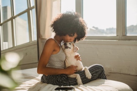 9 essential tips for first-time pet owners