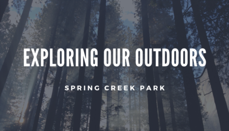 Exploring Our Outdoors: Spring Creek Park