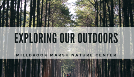 Exploring our Outdoors | Millbrook Marsh Nature Center