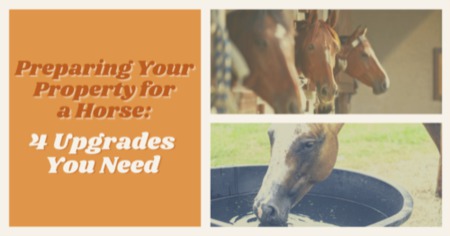 Preparing Your Property For a Horse? Discover 4 Home Upgrades You Need
