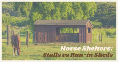 Horse Shelters Explained: Pros & Cons of Barn Stalls vs. Run-In Sheds