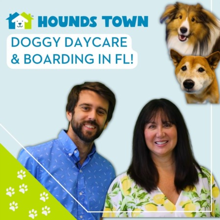 Hounds Town: Good Doggy Daycare & Boarding in Florida!