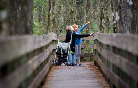 You Must Visit At Least 5 of these 39 Lee County Parks