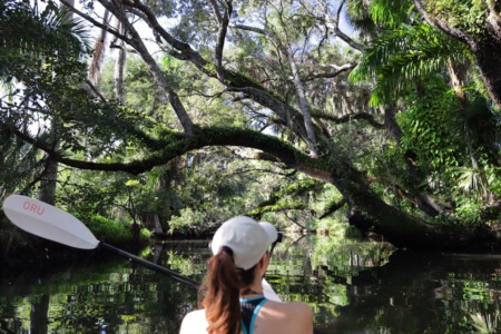 A Unique Paddle Through Koreshan State Park