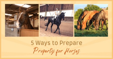5 Ways to Prepare Your Property for Horses
