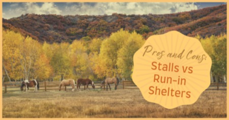 What's The Best Horse Shed: Run-In Shelters or Barn Stalls?