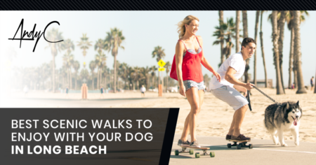Best Scenic Walks To Enjoy With Your Dog in Long Beach