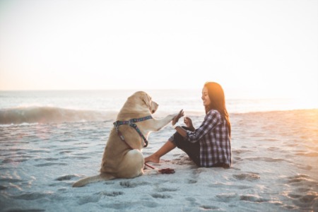 Best Dog Beaches Near Long Beach California