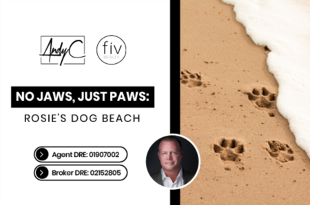 No Jaws, Just Paws: Rosie's Dog Beach