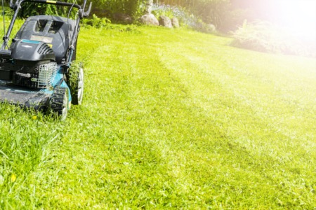 4 Pros and Cons of Using Herbicides to Control Weeds  