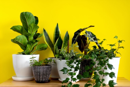 The Best Way to Declutter Your Living Room to Sell Your Home in Lakewood