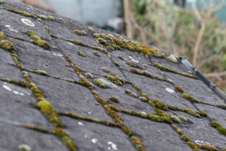 3 More Signs You Need a New Roof 