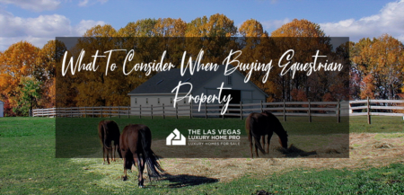 What to Consider When Buying an Equestrian Property 