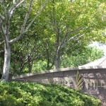 Past Eagle Hills SOLD Properties