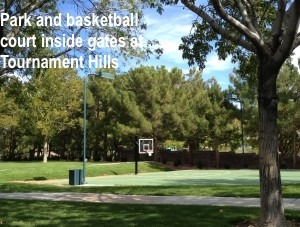 Tournament Hills Summerlin Luxury Properties