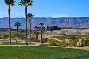 Past Ridges of Summerlin Neighborhood Sold Properties