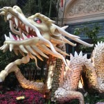 Las Vegas Celebrates Chinese New Year 2012 - Bellagio's Conservatory